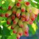 kibir.jan.oymiqi.18690366005的头像-OWQE