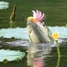 日月