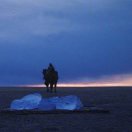 徐卓的头像-熵减岛