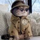 心若向阳ぃ无畏悲伤