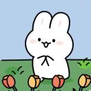 纽约(纽约州)求租