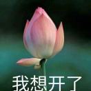 房产