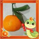 薇微一笑🥝-小燕电子书