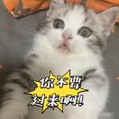 趙健康要健康??
