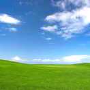 飘渺酒仙