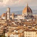 大鲨鱼的头像-熵减岛