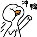冲冲鸭