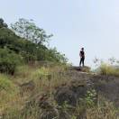 山野的头像-秀琴曲谱网