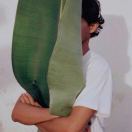 伦敦求租