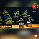 wx_梦想是你的脊梁79