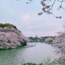 zzzxxxddd的头像-日本！日本语