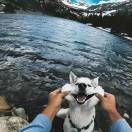 谂念的头像-博士钣金 - www.bsbanjin.com