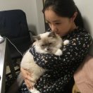 曼彻斯特求租