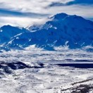 聆听的头像-熵减岛