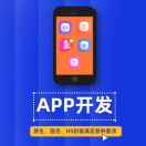 APP/小程序/软件定制开发-济南壹软网络科技