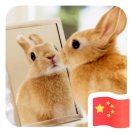 王胜