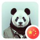 高级工程师