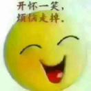 鹏飞?
