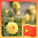 風(fēng)