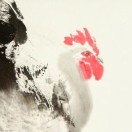 prp's Avatar