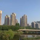 杨龙