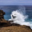 qyyyyyyy的头像-cok论坛 - AGREE动漫游戏