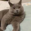 mr.