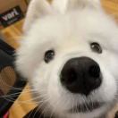 燁
