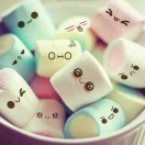 券妈妈会员: 风雨彩虹