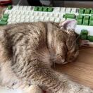 Traver Courts转租&房东直租