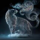 武神1的头像