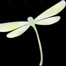 Jack_965