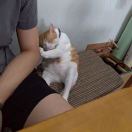 周先生的头像