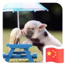 ZJF的头像