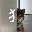 文弱的学术分子