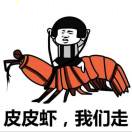 皮皮虾，我们走