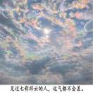 扬州氾水产业园沈周桂