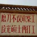 今天不学习，明天变垃圾