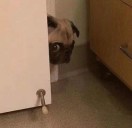 李珂的头像-熵减岛