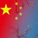 江先生的头像