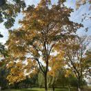 Dearjiajia的头像-归元之道