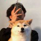 张先生的头像