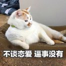 喵了一声