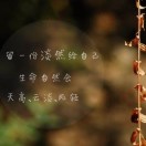 何先生的头像