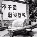 康康