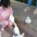 春水临风
