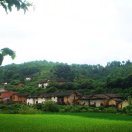 此去經(jīng)年