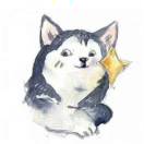 云玩家