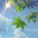 小抗體 ?的頭像