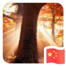 樹